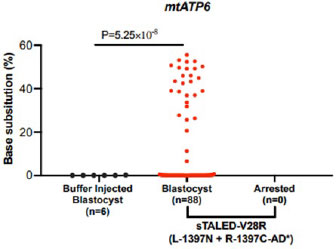 mtatp6