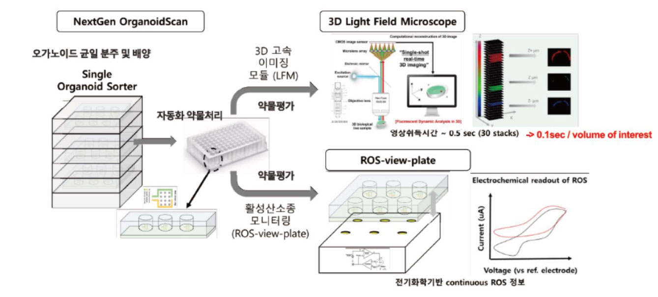 nextgen-organoid